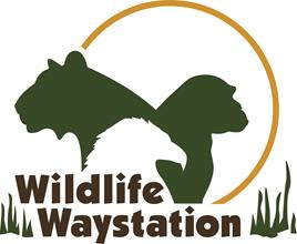 Wildlife Waystation Inc.