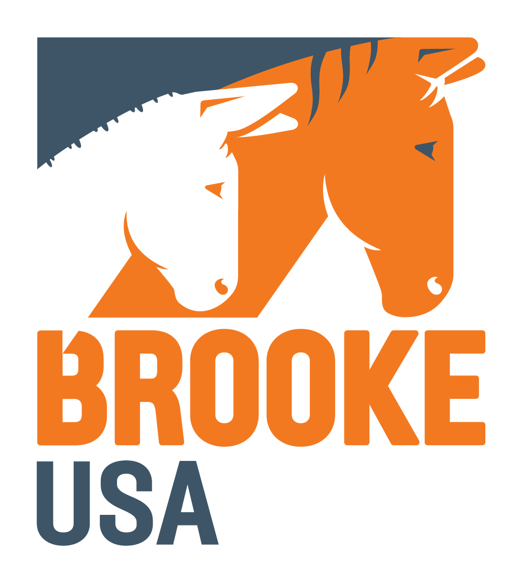 Brooke USA Inc.