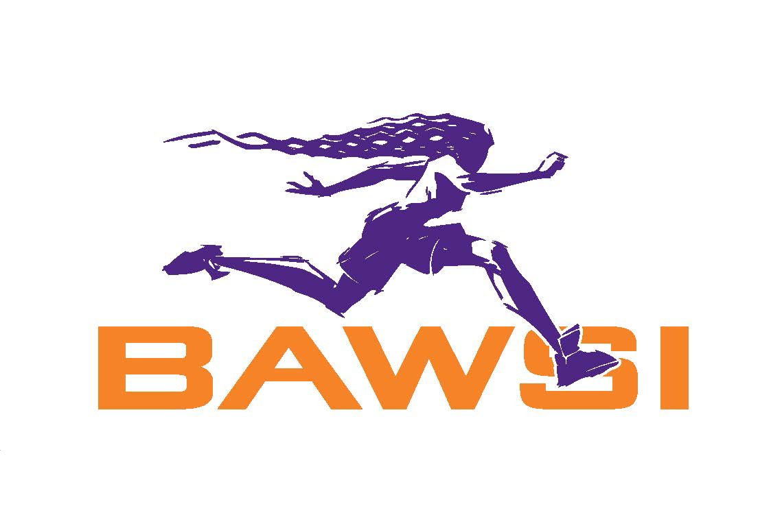 Bay Area Womens Sports Initiative Inc.