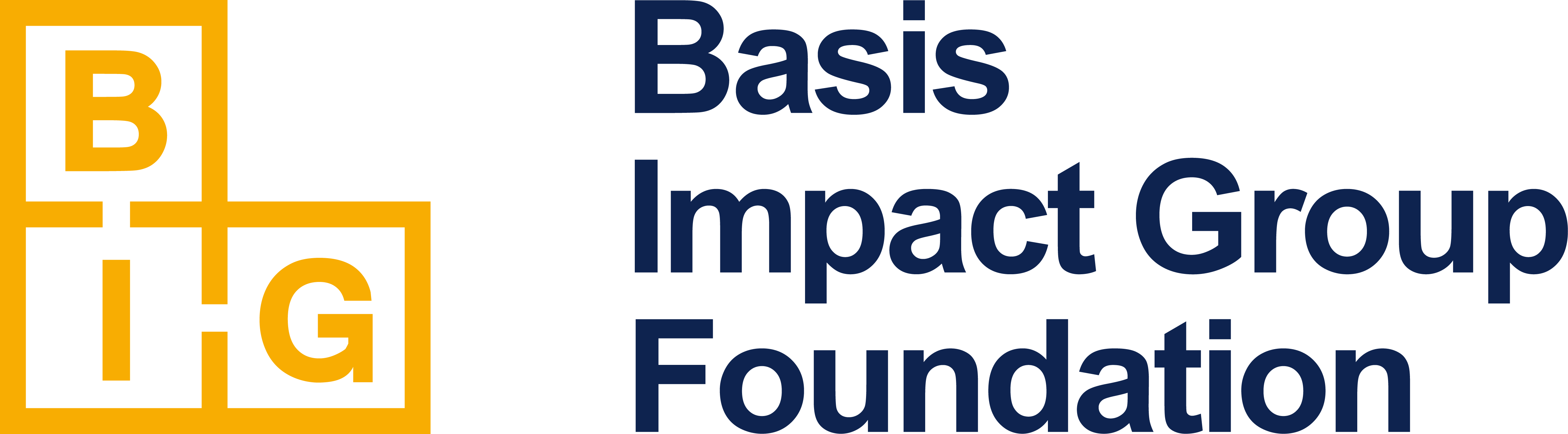 Basis Impact Group Foundation Inc.